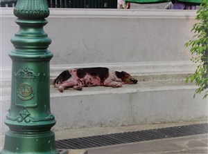 Image description is not available for 2016.053